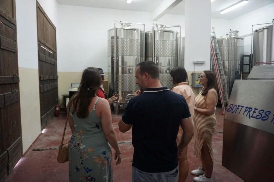 Crete: Full-Day Cretan Wines, Olive Oil, Raki and Food Tour - Winery stop in the vineyards, organic methods and 5 wines