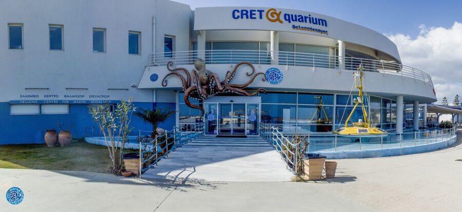 Crete: Heraklion Center, Local Market and Creta Aquarium - Key highlights worth your attention