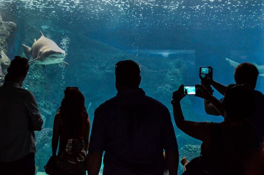 Crete: Heraklion Center, Local Market and Creta Aquarium - Should you book this tour?