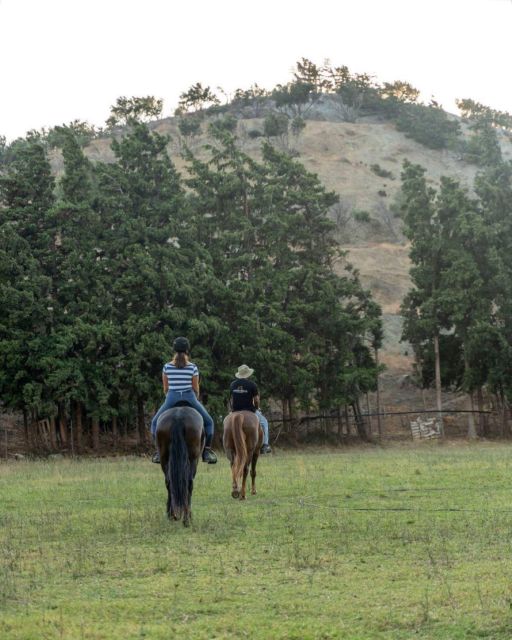 Crete Horse Riding: Cretan Countryside Ride - Key Things I’d Book This For