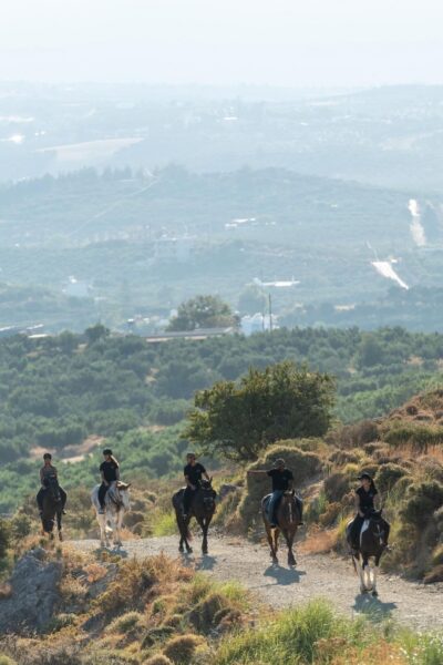 Crete Horse Riding: Cretan Countryside Ride