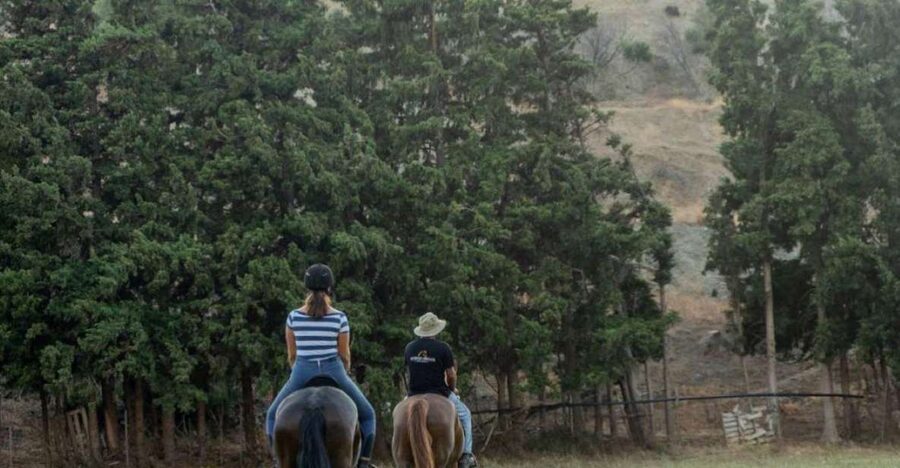 Crete Horse Riding: Cretan Countryside Ride - Price Value: Why $68 for an Hour Can Be Fair