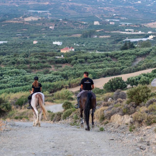 Crete Horse Riding: Cretan Countryside Ride - Should You Book the Cretan Countryside Ride?