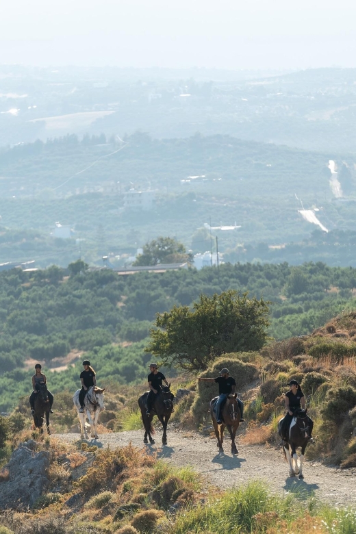 Crete Horse Riding: Cretan Countryside Ride - The One-Hour Timing, and Why It Feels Longer in a Good Way