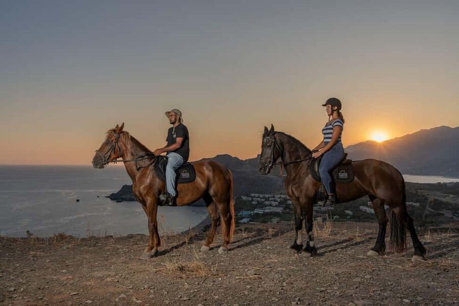 Crete Horse Riding: East Coastline Ride - The route you’re really riding: East coast views plus olive groves