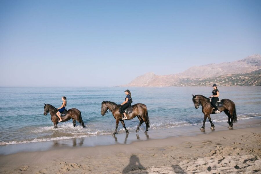 Crete Horse Riding: Plakias Beach Ride - Logistics on Crete: Transfers Are Not Included