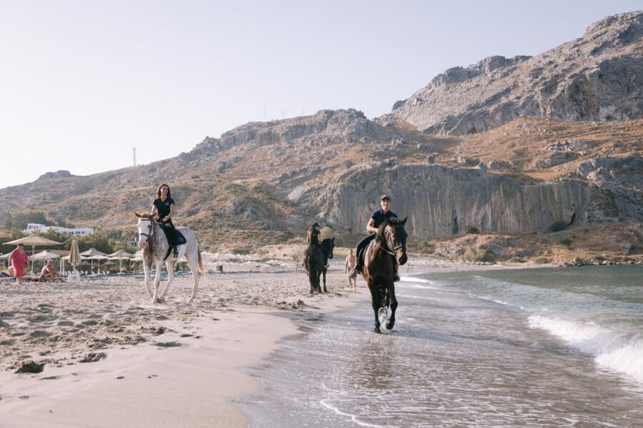 Crete Horse Riding: Plakias Beach Ride - How the Ride Handles Different Skill Levels (and Nerves)