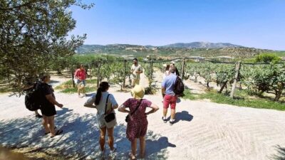 Knossos Palace, Winery & Olive Oil Tour with Lunch