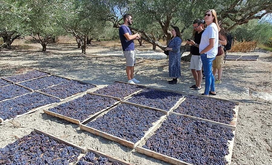 Crete: Knossos Palace, Winery & Olive Oil Tour with Lunch - Winery tastings with indigenous grapes and real scenery
