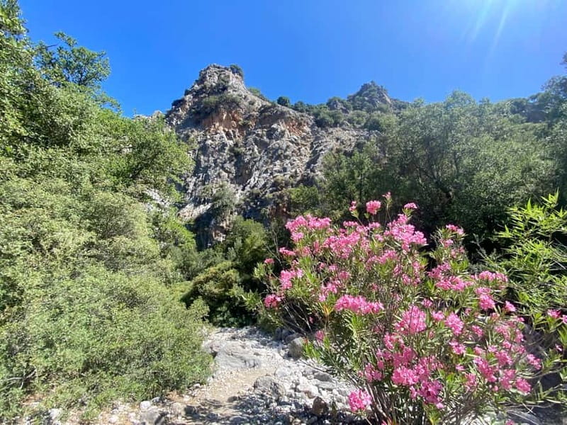 Crete: Kritsa Canyon Guided Hiking Tour - The 4-Hour Hike Through Kritsa Gorge: What the Trail Really Does