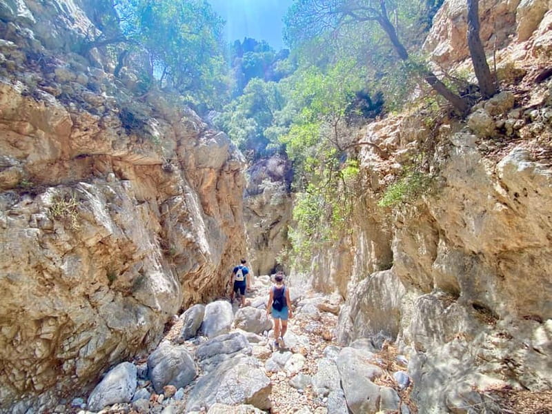 Crete: Kritsa Canyon Guided Hiking Tour - Minoan Clues, Old Farmyards, and Cretan Lodges You Might Notice