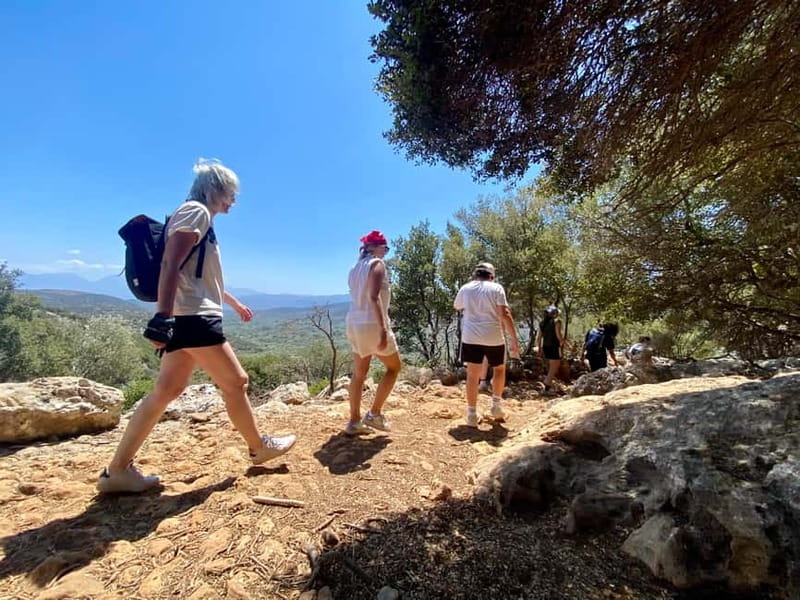 Crete: Kritsa Canyon Guided Hiking Tour - Traditional Village Stop: How to Use Your 1 Hour