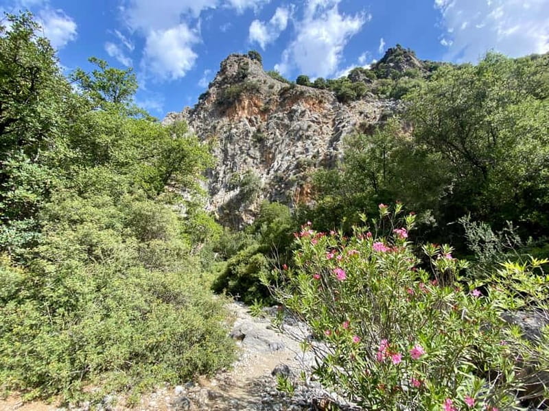 Crete: Kritsa Canyon Guided Hiking Tour - What to Bring and How to Pace Yourself