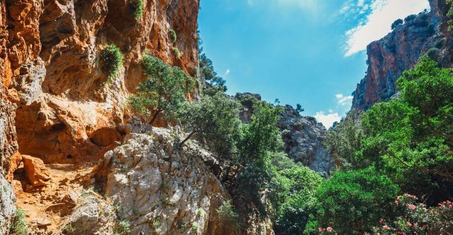 Crete: Kritsa Gorge Hike with Picnic & Swim Stop - Kritsa Gorge in East Crete: Why This Day Works So Well