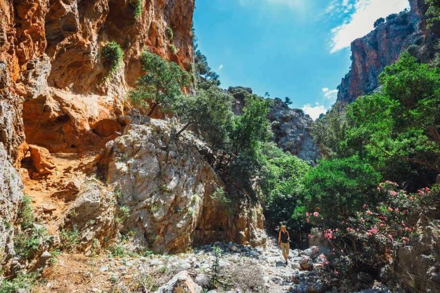 Crete: Kritsa Gorge Hike with Picnic & Swim Stop - The 7-Hour Timing: Pickup, Pace, and What 8 km Really Means