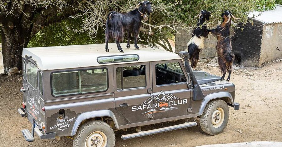 Crete: Land Rover Safari on Minoan Route - Key Things That Make This Minoan Route Safari Worth Your Time