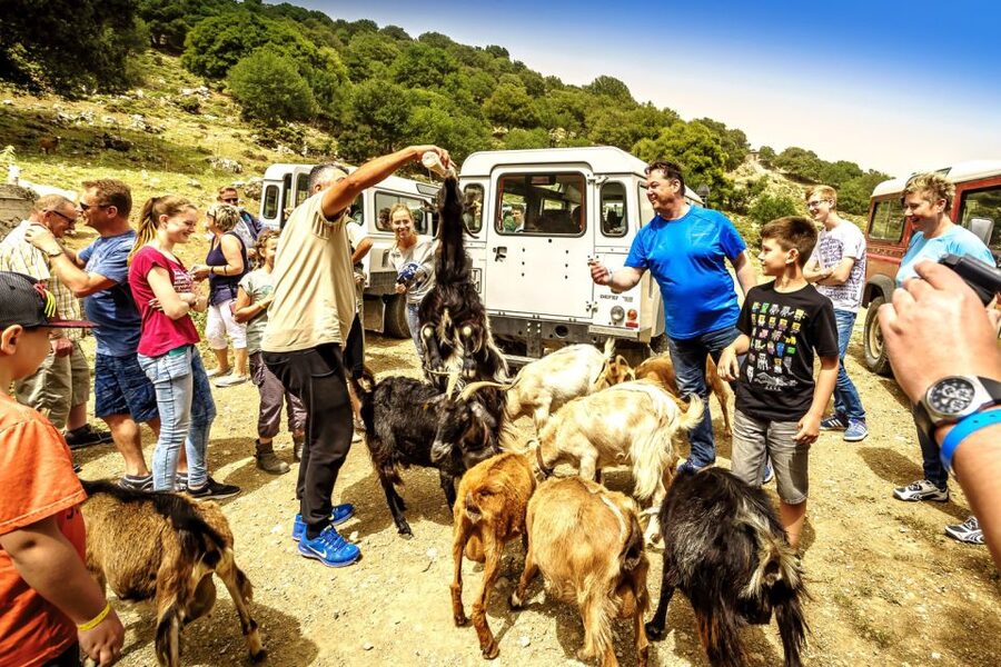 Crete: Land Rover Safari on Minoan Route - Riding the Old Minoan Path and Spotting Life in the Hills