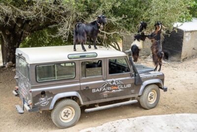 Land Rover Safari on Minoan Route