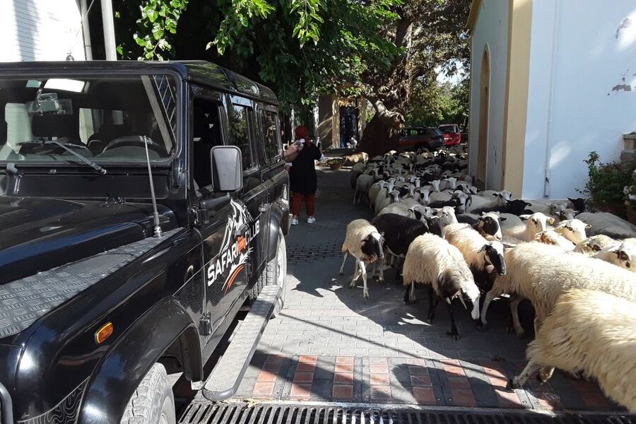 Crete: Land Rover Safari on Minoan Route - Mitato and Cheese Making: Where Shepherd Life Becomes Tangible