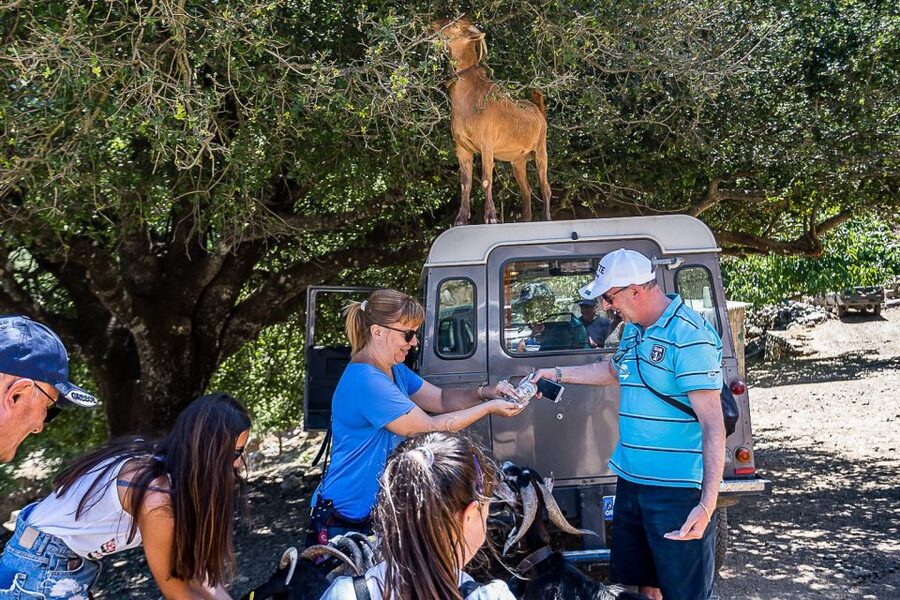 Crete: Land Rover Safari on Minoan Route - Price and Value: What About $110 Really Covers