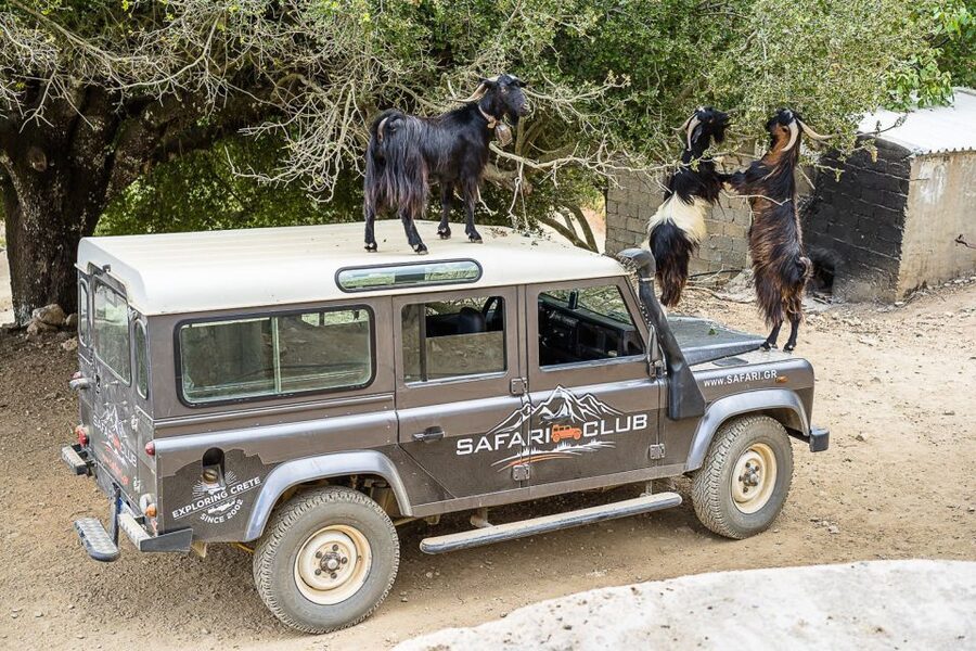 Crete: Land Rover Safari on Minoan Route - Kastamonitsa, Raki Tasting, and the Shift from Road to Dirt