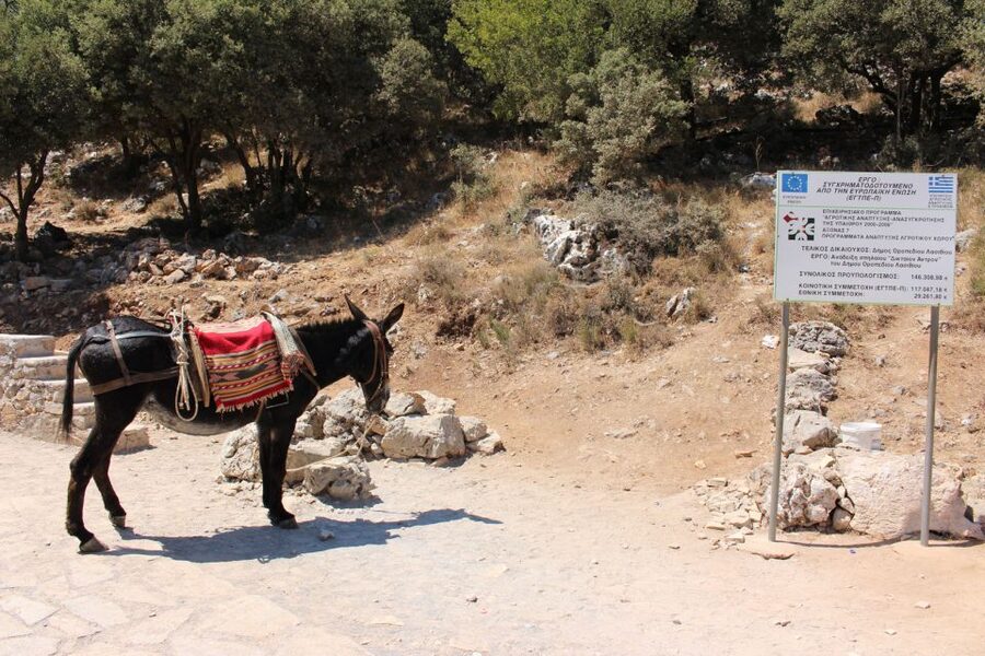Crete: Land Rover Safari Through the Plateaus - Lassithi Plateau Views and the Cretan Lunch That People Remember