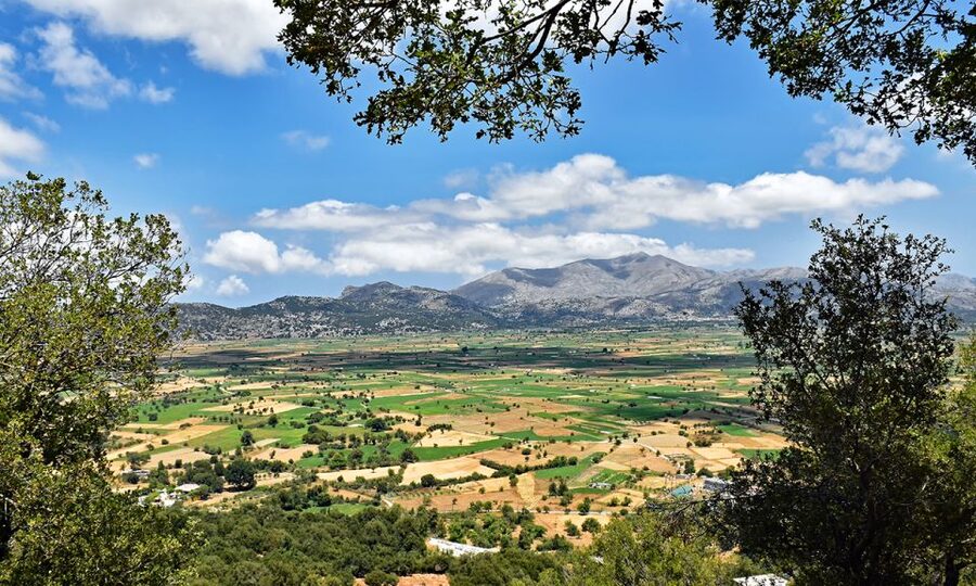 Crete: Lasithi Plateau & Knossos Palace Day Trip - Avdou Olive Oil Factory and Tasting the Way Crete Works