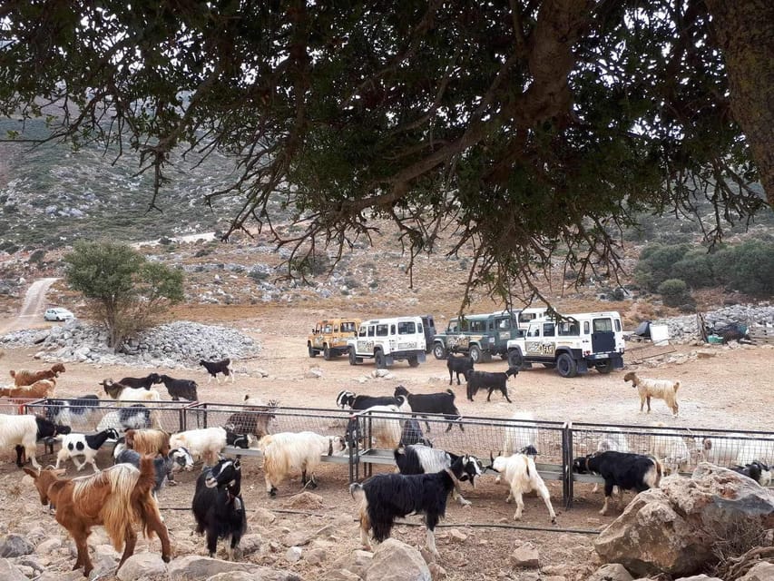 Crete: Lasithi Plateau Zeus Cave Guided Jeep Safari Tour - Who should book this Lasithi Zeus Cave jeep safari, and who might skip it