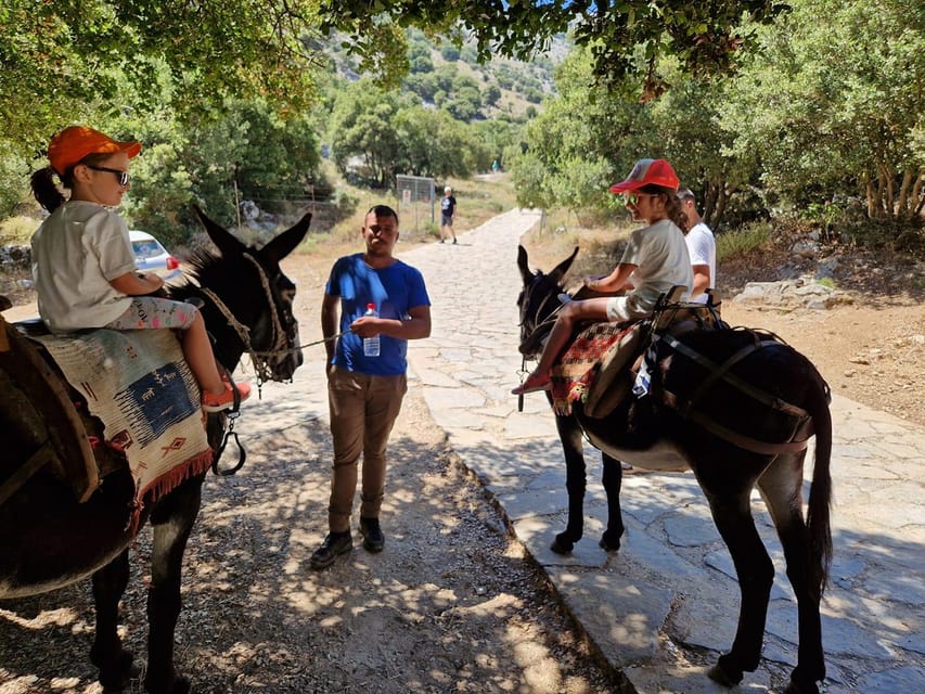 Crete: Lasithi Plateau Zeus Cave Guided Jeep Safari Tour - Diktaion Andron: wine, brunch, and a short hike with cave-country energy