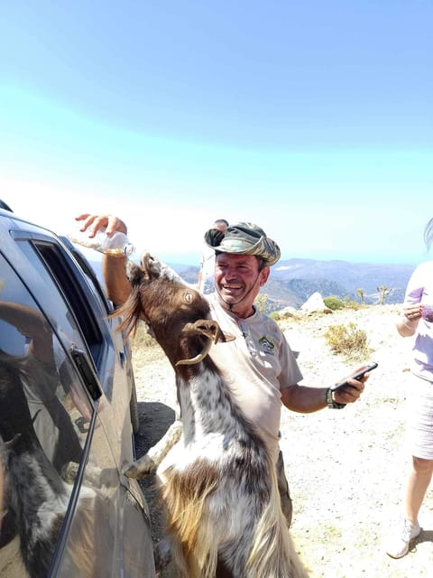 Crete: Lasithi Plateau Zeus Cave Guided Jeep Safari Tour - Zeus Cave ticket reality check: plan for closure dates and the entry fee