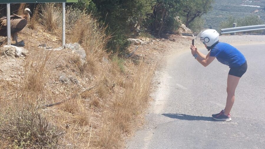 CRETE :MALIA HERSSONISOS QUADS ECOTOUR ADVENTURE - HIGH PERF - Lyrakis Family S.A.: olive-oil tasting with a production story