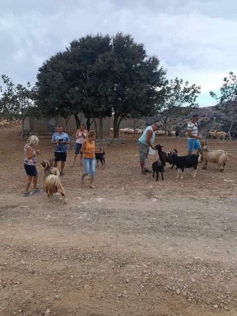 Crete: Milatos Cave Amazonas Zoo Park Jeep Safari Tour - Plaka Sea Front Residence: Quick Guided Time and Big Spinalonga Energy