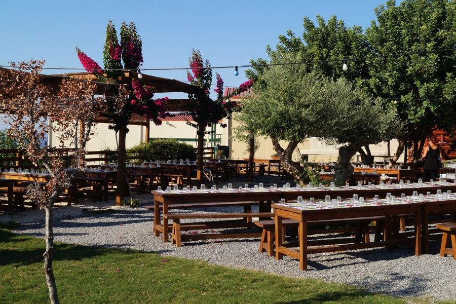 Crete: Olive Oil Factory Tour, Dinner & Traditional Dancing - Honey on the property: beekeeping demonstration and Cretan sweetness