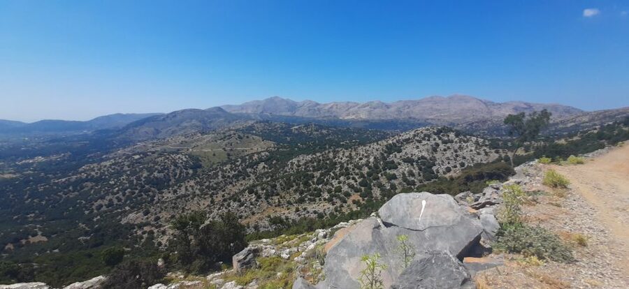 Crete: Olive, Wine, & Raki on a Flavorful Culinary Journey - Archanes Photo Stop and Guided Village Visit: The Day’s Breather