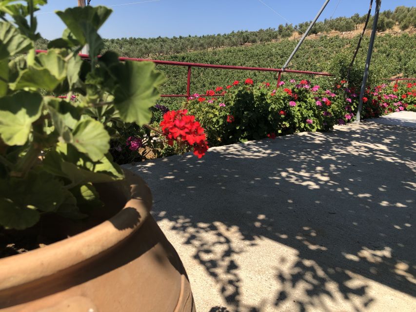 Crete Private Tour: The Secrets of Wine, Olives & Honey - Garazo village and a small folk museum: the day slows down on purpose