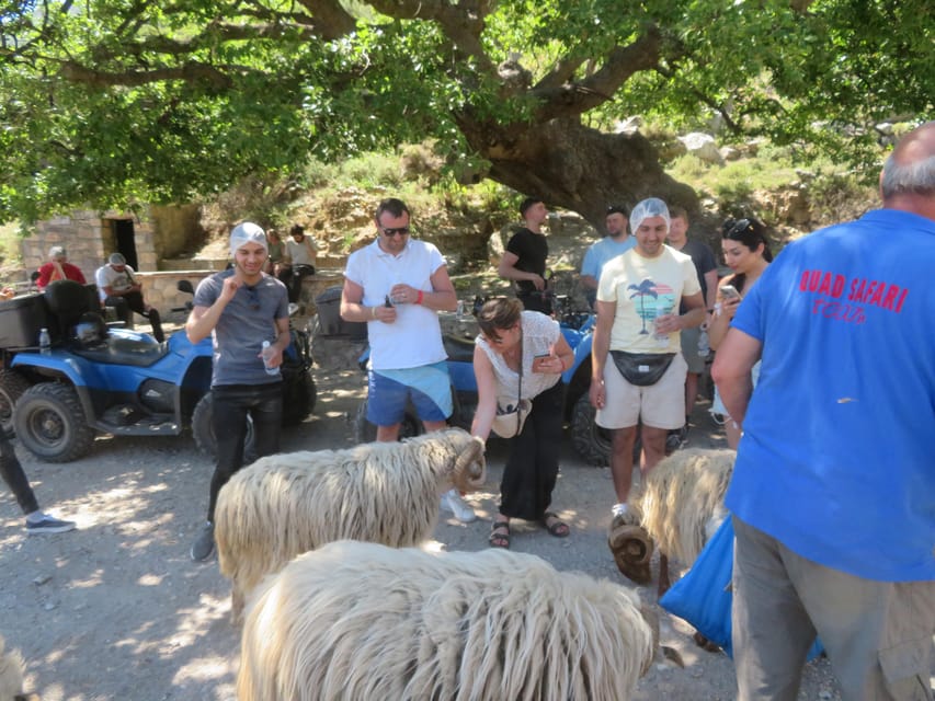 Crete Quad Safari Off-Road,Breathtaking Scenery&Amazing View - Malia Palace area, Epano Sisi, and the scenic drives that set the stage