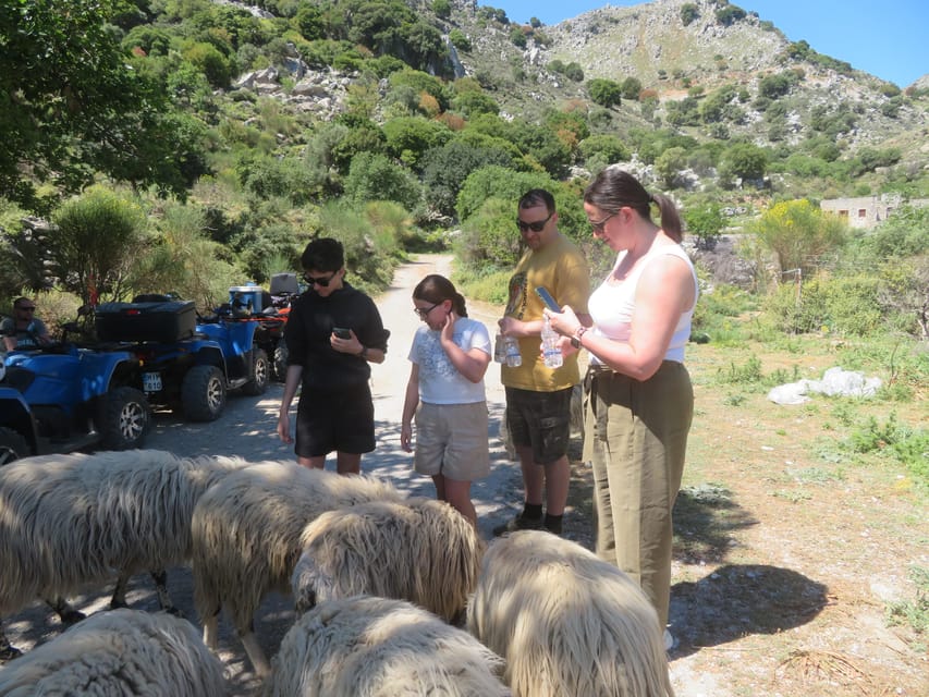 Crete Quad Safari Off-Road,Breathtaking Scenery&Amazing View - Vassilakis Estate olive oil tour and lunch that actually fills you up
