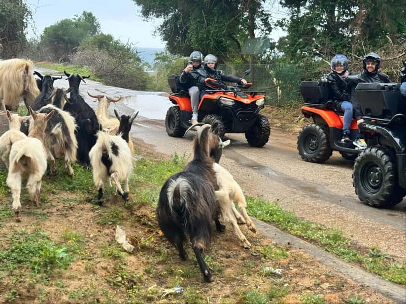 Crete: Quad Safari with Ghost Town Exploration - Safety Briefing and the Driving Lesson That Actually Helps