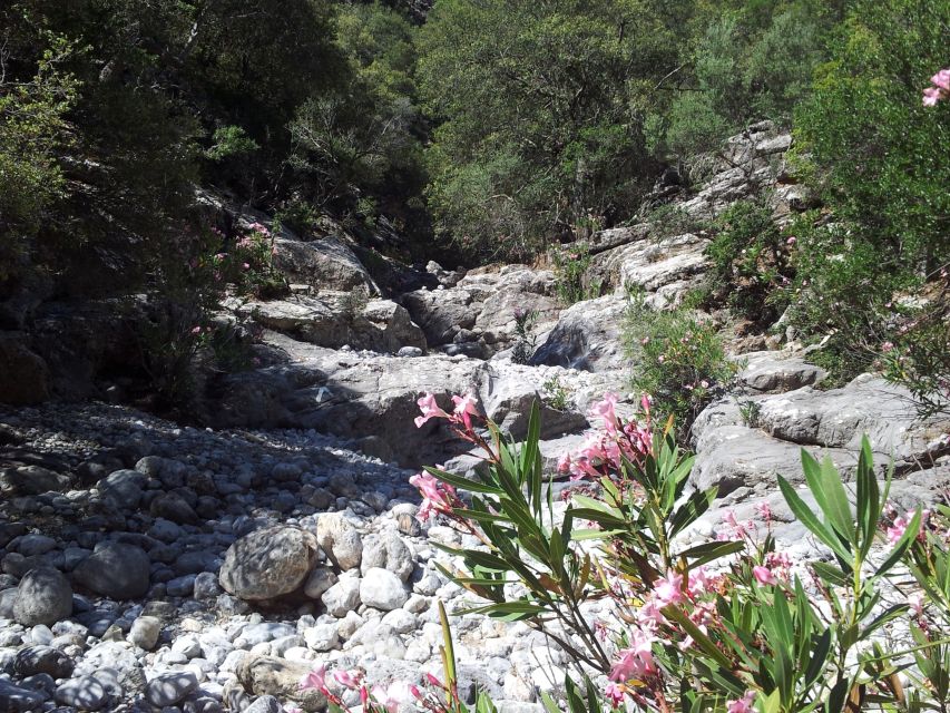 Crete: Richtis Waterfall Full-Day Tour with Olive Tasting - Price and Value: What You Get for Around $111
