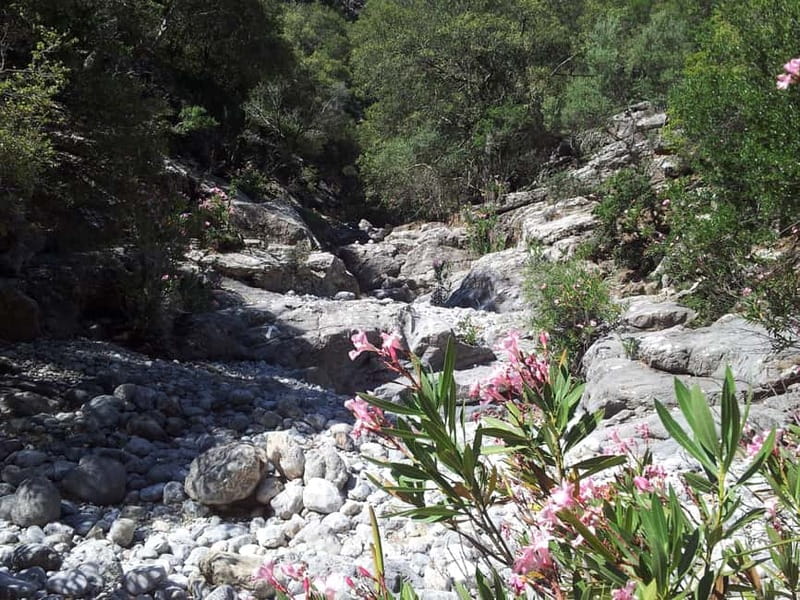 Crete: Richtis Waterfall Full-Day Tour with Olive Tasting - Lunch at a Local Taverna, Plus Wine and Water Included