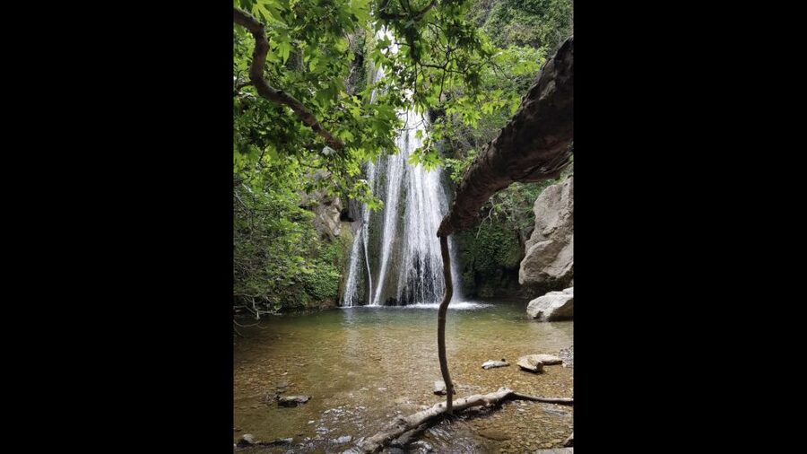 Crete: Richtis Waterfall Full-Day Tour with Olive Tasting - Small Group Pace and Multilingual Guides You Can Understand
