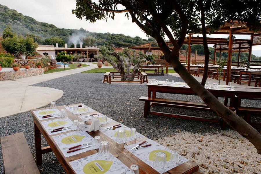 Crete: Road-trip to Lasithi Plateau & Olive Mill Farm - Krasi village and the 2,400-year-old plane tree by the springs