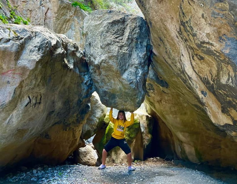 Crete: Sarakina Gorge, Forests, and South Coast Safari - Why This Crete Safari Feels Like More Than a Drive
