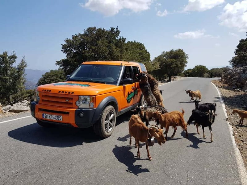 Crete: Sarakina Gorge, Forests, and South Coast Safari - Agios Nikolaos Food Tasting and Village Stops That Teach You Crete