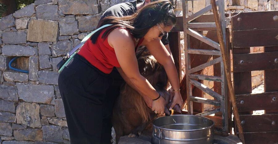 Crete: Shepherd’s Life & Psiloritis Mountain Tour with Meal - Key things to know before you go