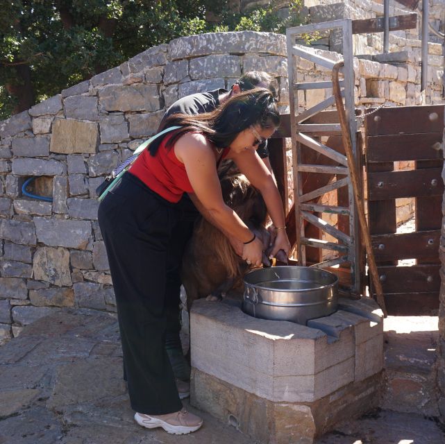 Crete: Shepherd’s Life & Psiloritis Mountain Tour with Meal - From milking to cheese-making at the shepherd’s cave