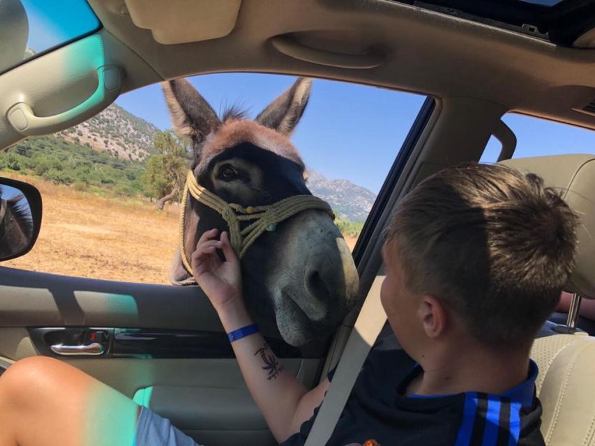 Crete: Sightseeing Day Trip with Cooking Lesson and Lunch - Pickup in Analipsi, Heraklion, Hersonissos, or Sisi, and the 4x4 Reality