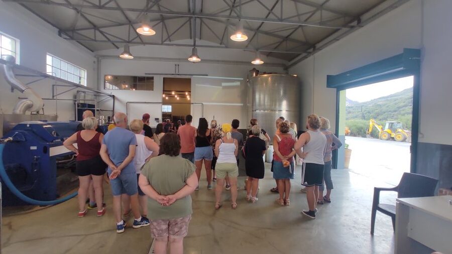 Crete: Sightseeing Day Trip with Cooking Lesson and Lunch - Wood-Oven Lunch and Cooking Like a Cretan