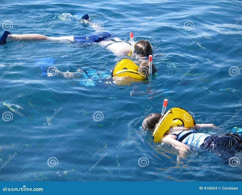 Crete: Snorkeling Boat Trip with Lunch and Transfer - Price and value at about $81 per person