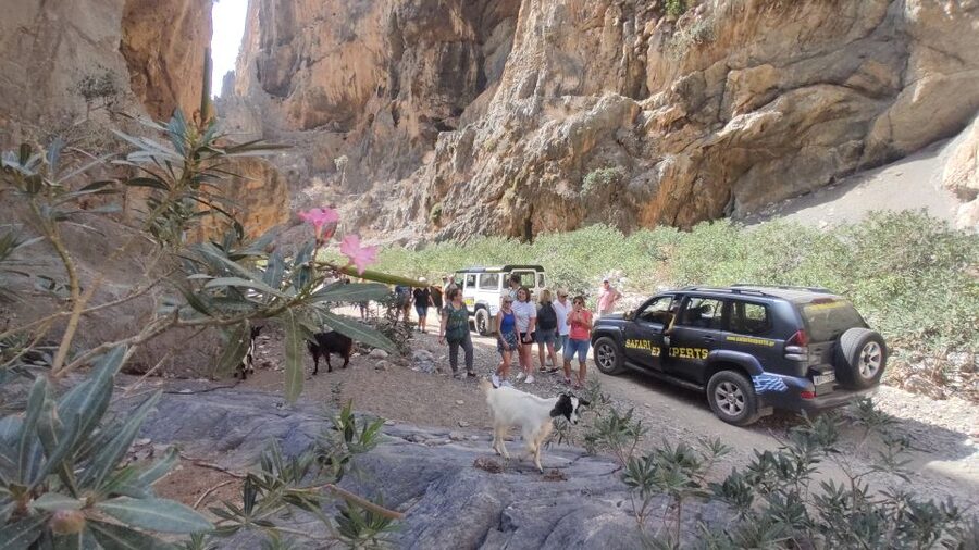 Crete: Trypiti Beach Off-Road South Tour w/ Lunch & Wine - Agia Varvara coffee: a small stop that helps you ride the final stretch